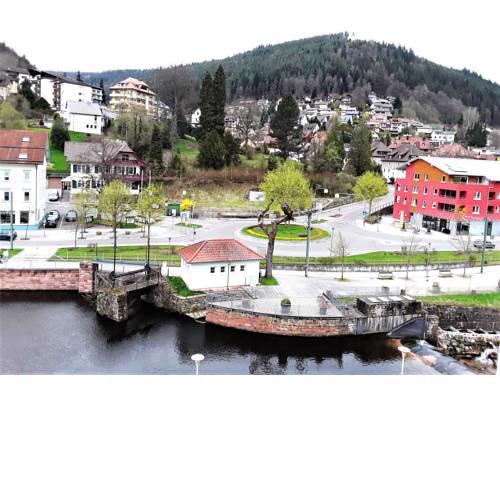 Ferienwohnung Enzblick