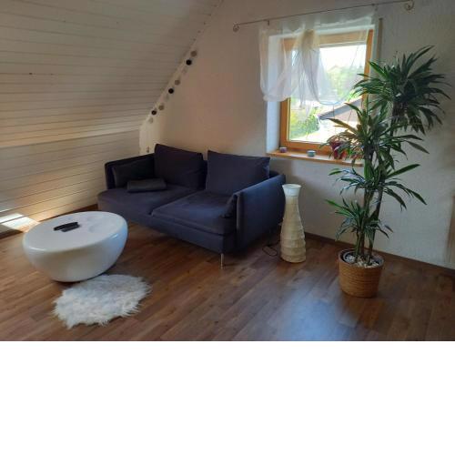 Ferienwohnung Fanz 