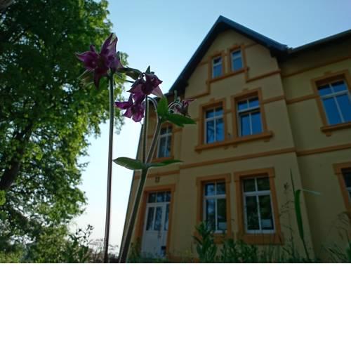 Ferienwohnung Forsthaus