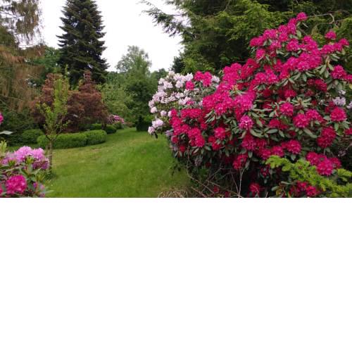 Ferienwohnung Gartenblick