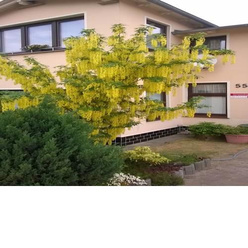 Ferienwohnung Gärtner