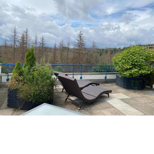 Ferienwohnung Harz #3, Pool, Sauna, WLAN