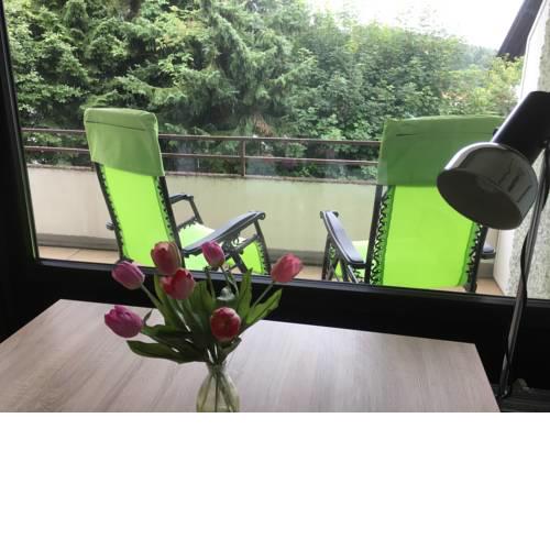 Ferienwohnung Harzmond