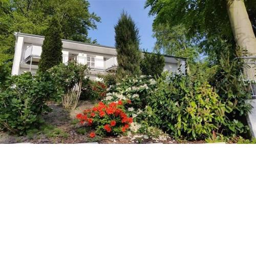 Ferienwohnung Haus Buchenhöhe
