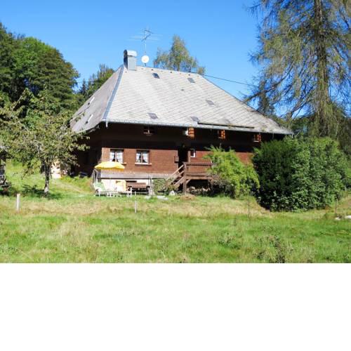 Ferienwohnung Hinterzarten 170S