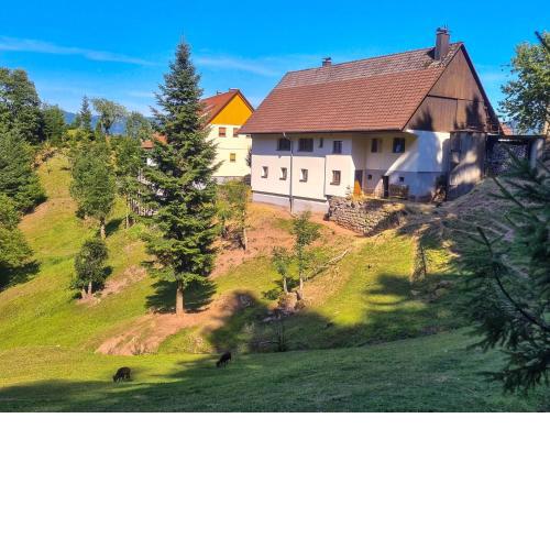 Ferienwohnung Holiswald