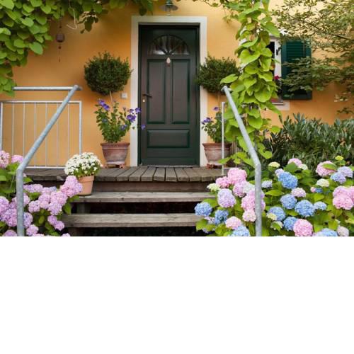 Ferienwohnung Hönig