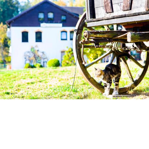 Ferienwohnung im Erzgebirge