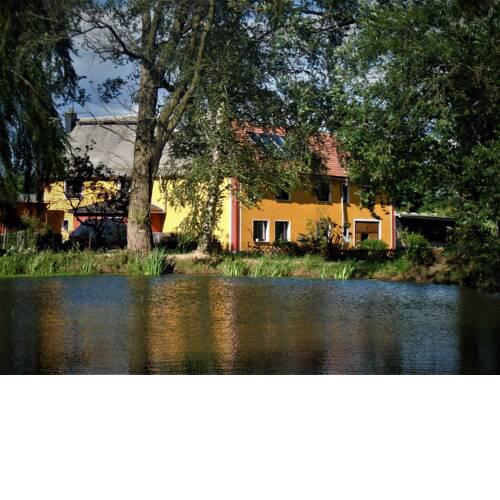 Ferienwohnung im grünen Herzen