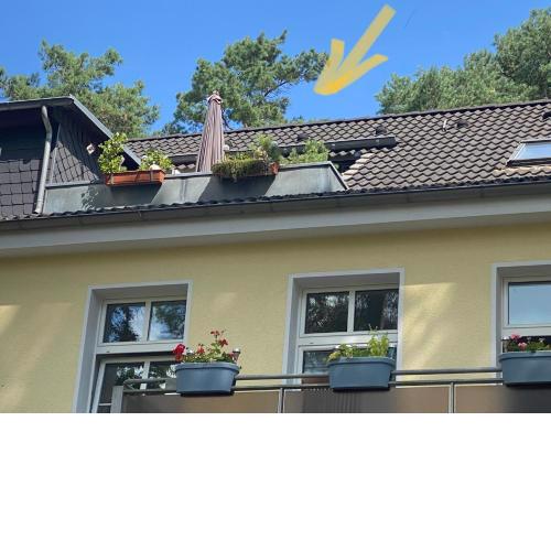 Ferienwohnung im Heidepark