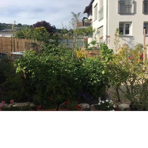 Ferienwohnung im Herzen von Kelheim