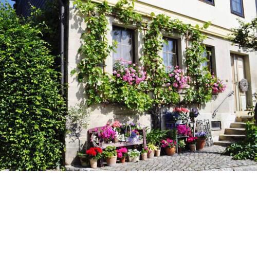 Ferienwohnung im idyllischen Landhaus im Grünen