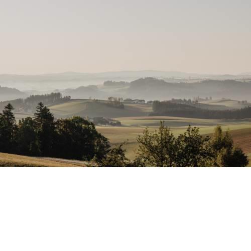 Ferienwohnung im Mühlviertler Panorama Vierseithof