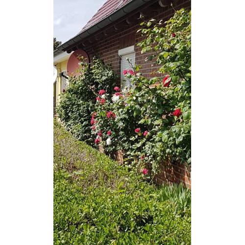 Ferienwohnung im Rosengarten - FeWo 2 - a44948