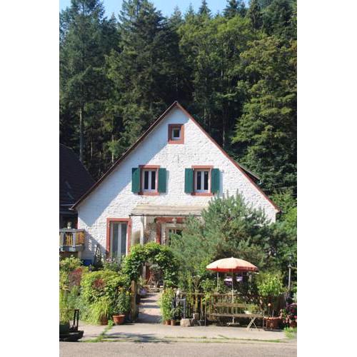 Ferienwohnung im Wald - Wohnung 2
