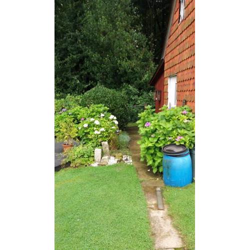 Ferienwohnung Im Waldwinkel