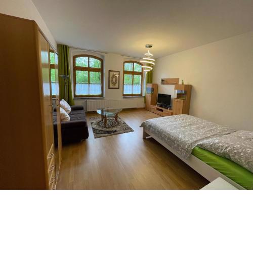 Ferienwohnung im Zentrum Zwickaus
