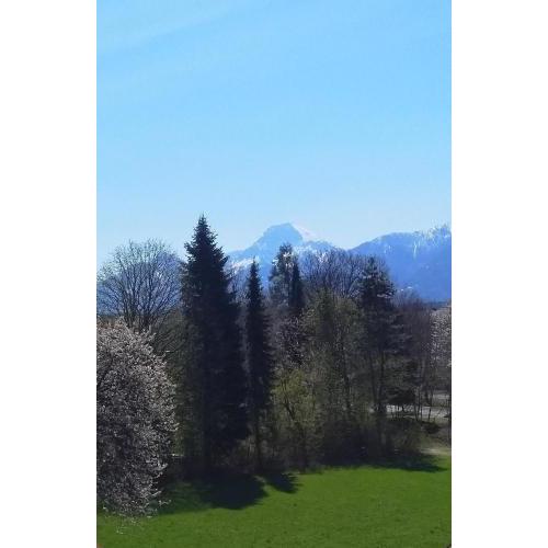 Ferienwohnung in Kärnten