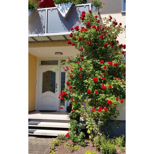 Ferienwohnung Kirsch