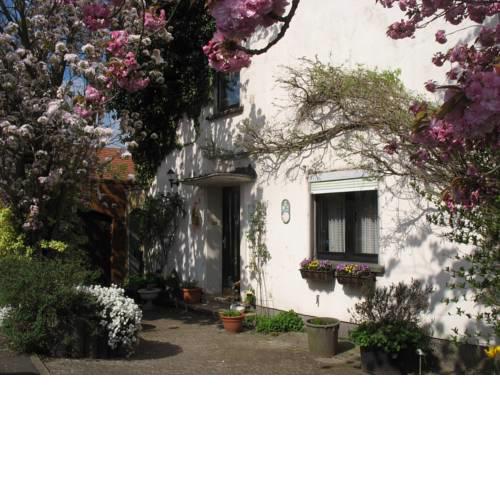 Ferienwohnung Kirschblüte