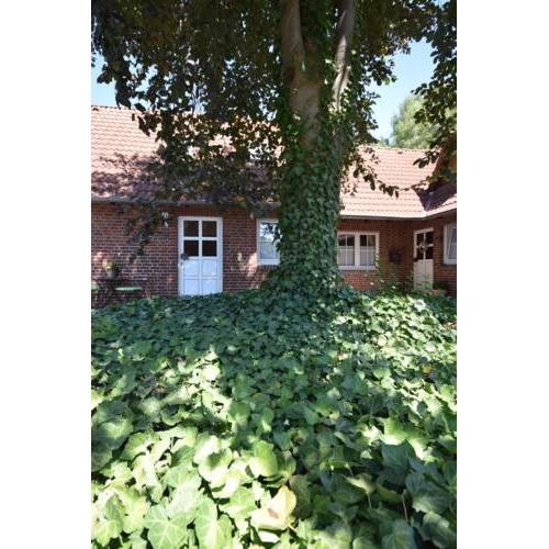 Ferienwohnung Kleine Auszeit