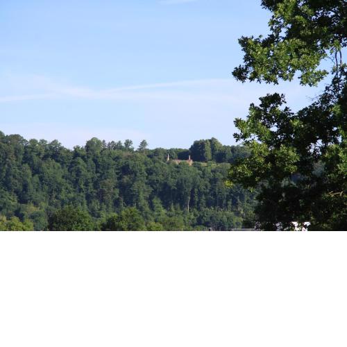 Ferienwohnung Klosterblick