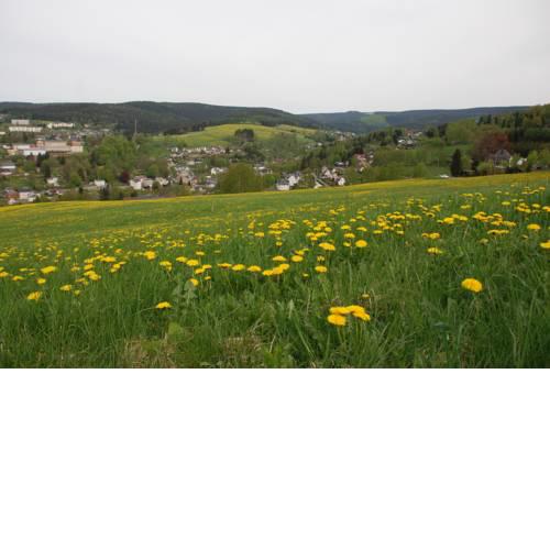 Ferienwohnung Körnerberg