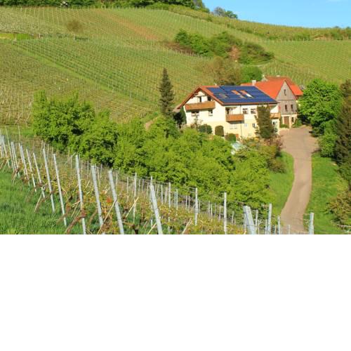 Ferienwohnung Kraft