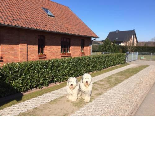 Ferienwohnung Kranichnest 2