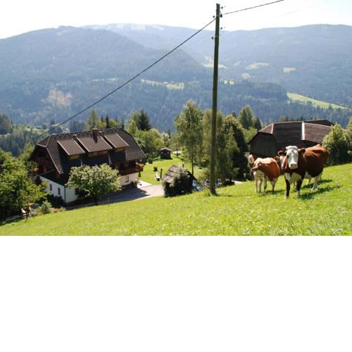 Ferienwohnung Lahnerhof