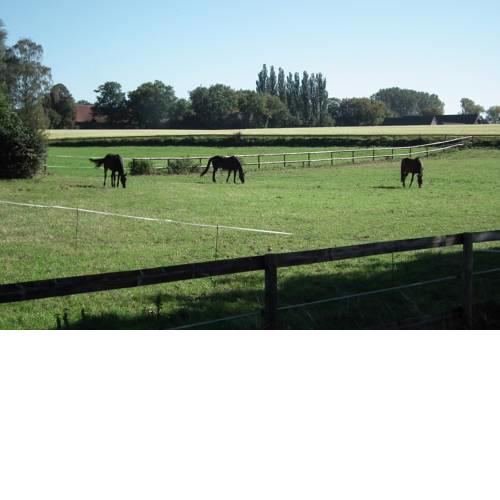 Ferienwohnung "Landblick"