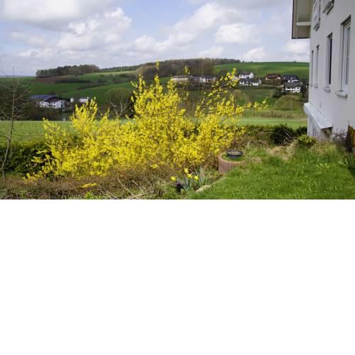 Ferienwohnung Landidylle