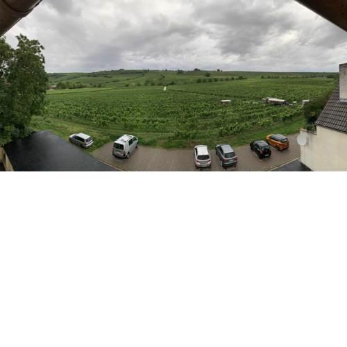 Ferienwohnung Martin Oppenheim