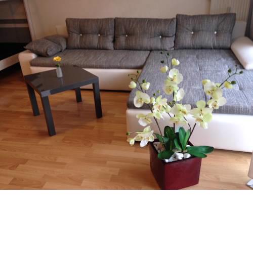 Ferienwohnung Michelle Werkling