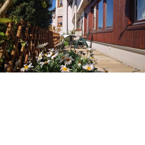Ferienwohnung Mila