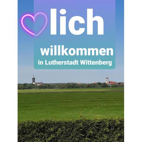 Ferienwohnung mit Elbwiesenblick