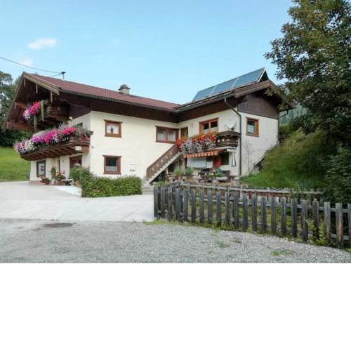 Ferienwohnung Mittersill 231S