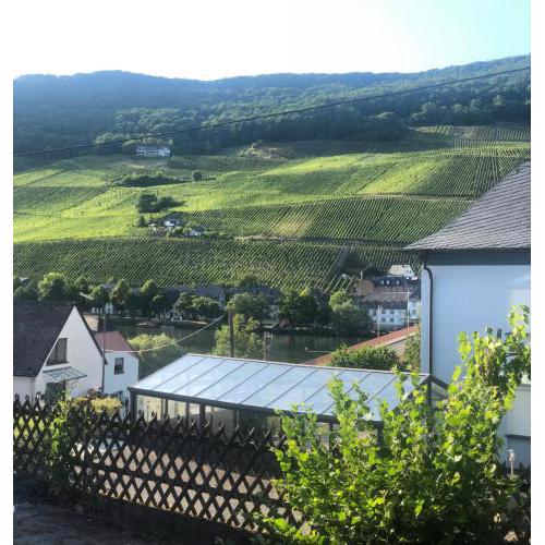 Ferienwohnung Mosel