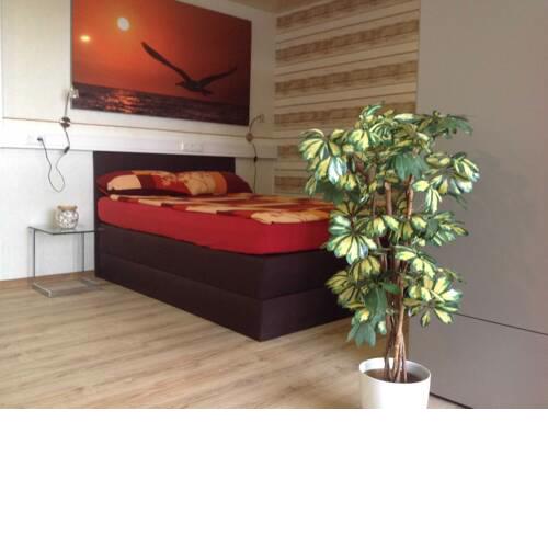 Ferienwohnung Möwe