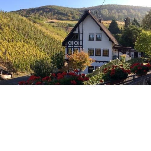 Ferienwohnung Mühlenruh