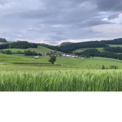 Ferienwohnung-Mühlviertel
