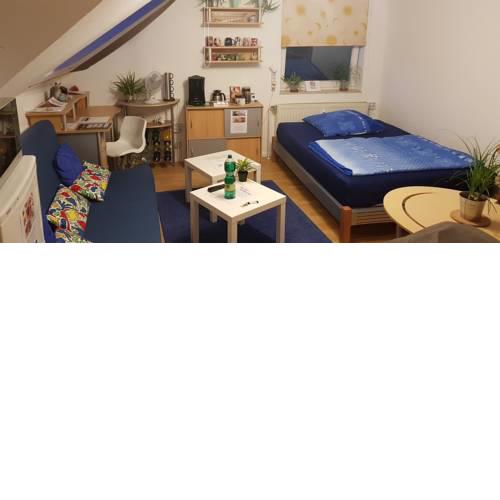 Business-Travel-Apartment & Ferienwohnung Münster, kontaktloser Check-In bis 24 Uhr möglich