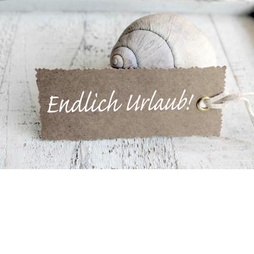 Ferienwohnung Muschelsucher