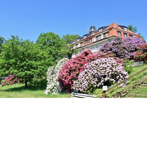 Ferienwohnung Natur und Kunst
