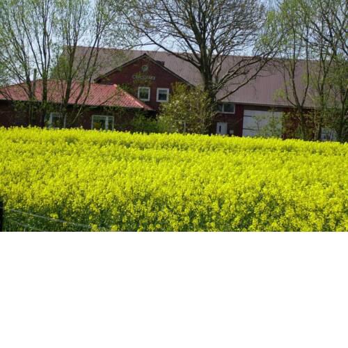 Ferienwohnung Nordfriesland