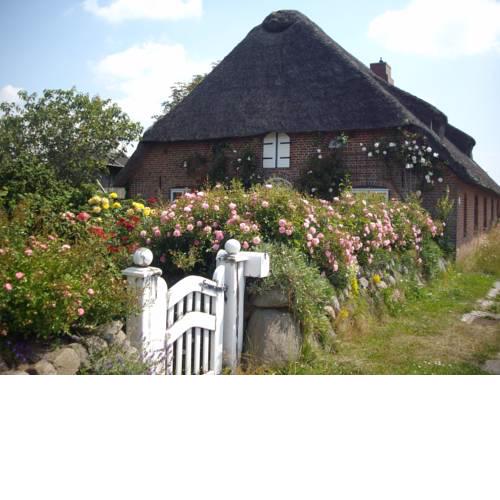 Ferienwohnung Nordsee im Friesenhaus Dikhüs - [#126015]