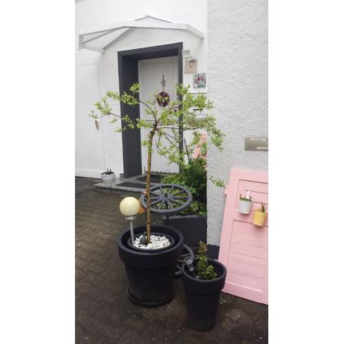 Ferienwohnung oder Wohnung für Monteure mit Garten