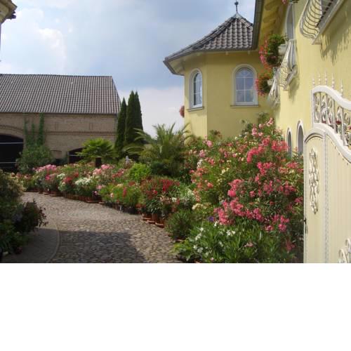 Ferienwohnung Oleanderhof