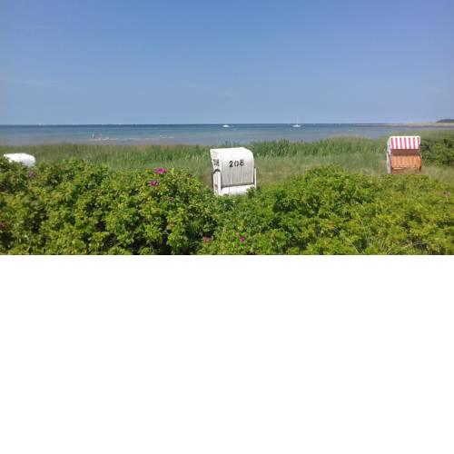 Ferienwohnung "Ostseestrand" in Stein bei Laboe