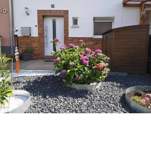 Ferienwohnung Palatina Annweiler